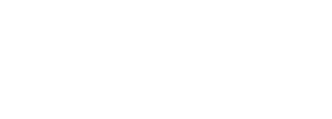 Realtree APX